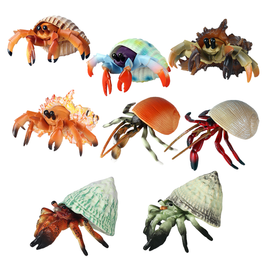 Zwierzęta morskie zabawki krab – Kids Toys Reviews recenzja i cena